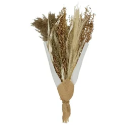 Fabrique de Styles Bouquet fleurs séchées limonium h50cm plantes séchées* Fleurs Séchées