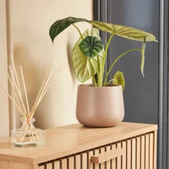 Fabrique de Styles Cache pot en céramique d13.5cm* Cache-pots Et Supports