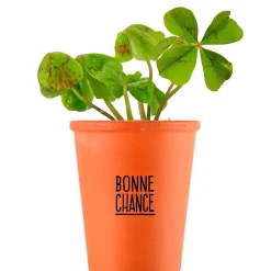 Fabrique de Styles Kit message bonne chance - trèfle à 4 feuilles* Prêt À Pousser