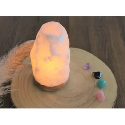 Fabrique de Styles Lampe en cristal de sel pièce de 2 à 3 kg* Lampes À Poser