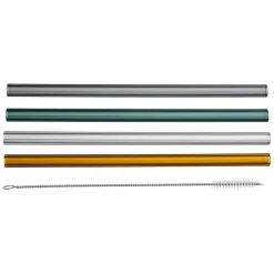 Fabrique de Styles Paille avec brosse x4 dilacia h15.5cm en verre borosilicate* Accessoires Réutilisables