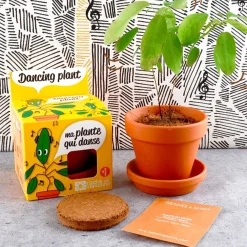 Fabrique de Styles Pot d8cm avec coupelle plante qui danse* Prêt À Pousser