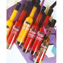 Fabrique de Styles Vinaigre de cidre pulpe de mangue 20cl* Huiles Et Vinaigres